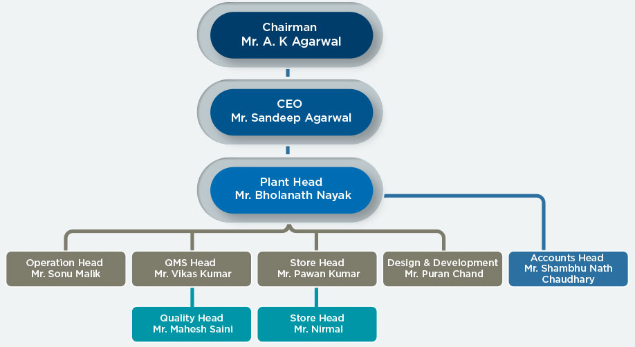 Team Structure